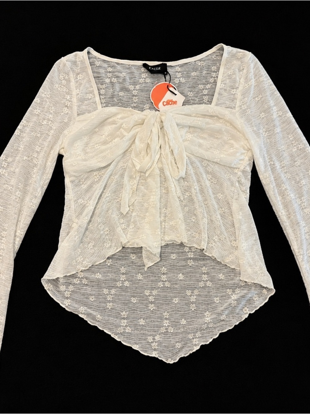 Cider Ivory Sheer Lace Tie-Front Long Sleeve Top